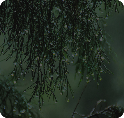 Aug to Dec: Peak Travel Season